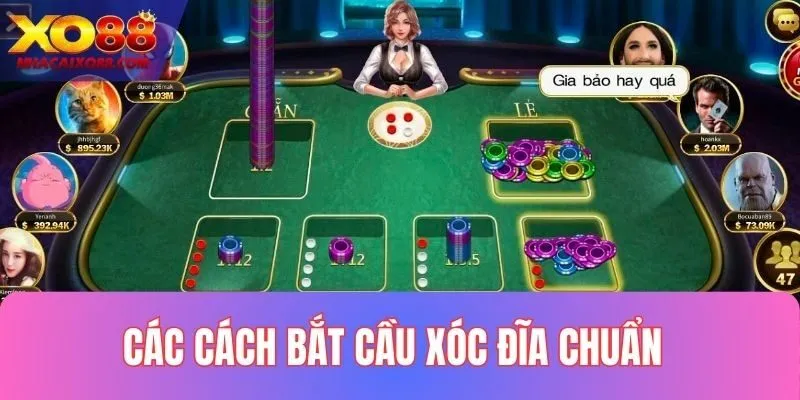 Các cách bắt cầu xóc đĩa chuẩn tại XO88
