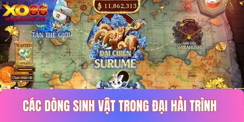 Phân loại các dòng sinh vật trong Đại Hải Trình 2025