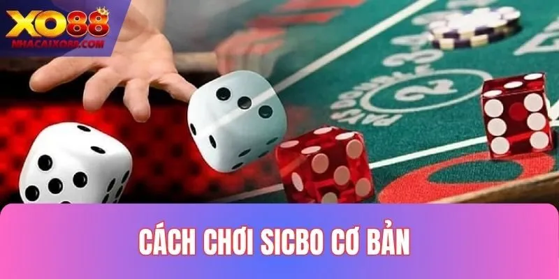 Khám phá luật đánh cơ bản của Sicbo 2025