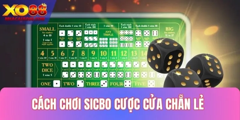 Cửa cược chẵn lẻ được yêu thích trong Sicbo