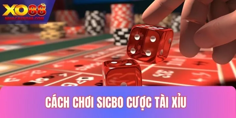 Cách chơi Sicbo cược Tài Xỉu siêu hấp dẫn