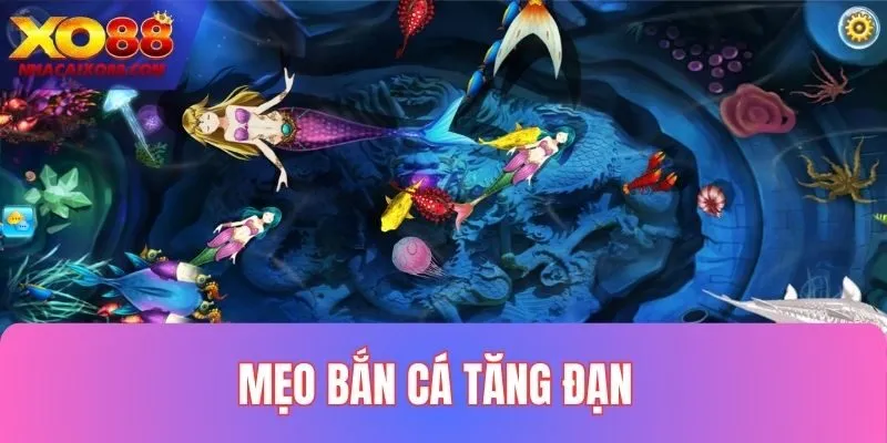 Mẹo bắn cá tăng đạn cực hay từ chuyên gia