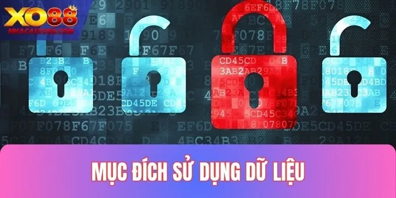 Mục đích chính của việc sử dụng dữ liệu người chơi
