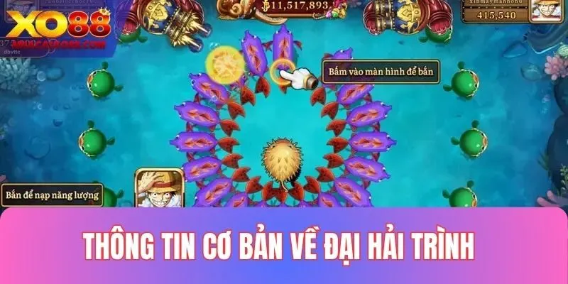 Một số thông tin cơ bản cần nắm khi bắn cá XO88