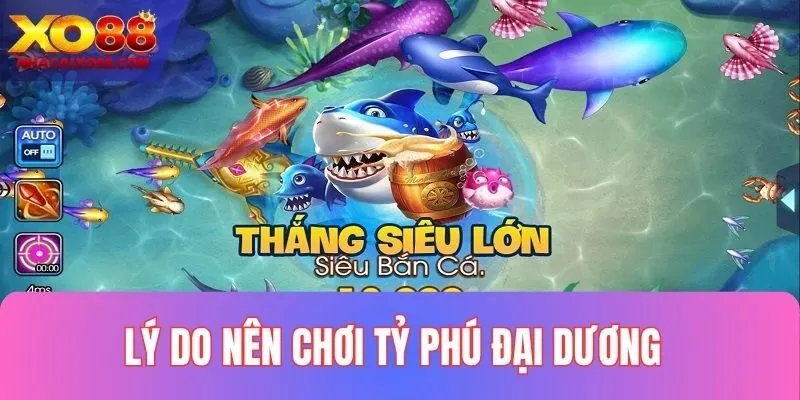 Lý do nên trải nghiệm Tỷ phú đại dương tại XO88