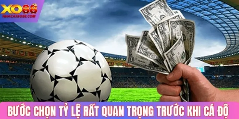 Bước chọn tỷ lệ rất quan trọng khi cá độ
