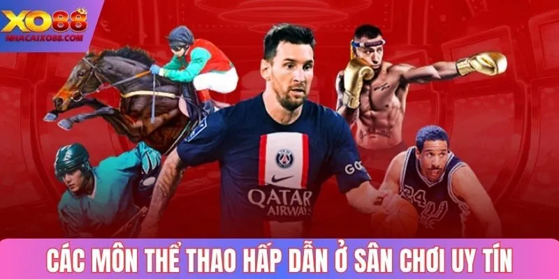Các môn thể thao hấp dẫn ở sân chơi uy tín